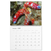 Onderwatergids, kalender van 24 maanden (Jan 2027)