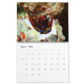 Onderwatergids, kalender van 24 maanden (Mar 2026)