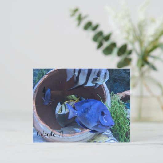 Onderwatergroet Briefkaart (Staand voorkant)