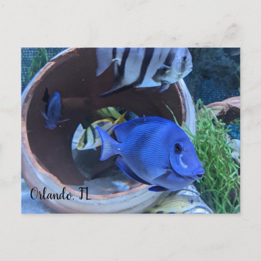 Onderwatergroet Briefkaart (Voorkant)