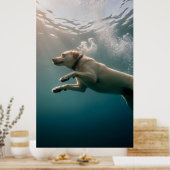 Onderwaterhond zwemt sierlijk onder water poster (Keuken)