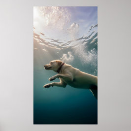 Onderwaterhond zwemt sierlijk onder water poster