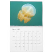 Onderwaterkalender — Palau Kalender (Mar 2026)