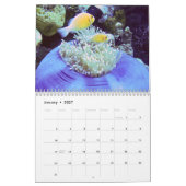 Onderwaterkalender — Palau Kalender (Jan 2027)