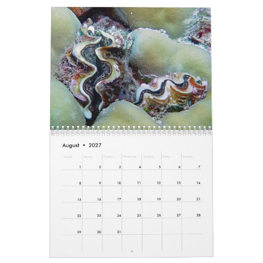 Onderwaterkalender — Palau Kalender (Aug 2027)