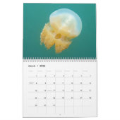 Onderwaterkalender — Palau Kalender (Mar 2026)