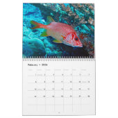 Onderwaterkalender — Palau Kalender (Feb 2026)