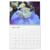 Onderwaterkalender — Palau Kalender (Jan 2027)