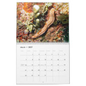 Onderwaterkalender — Roatan, Honduras Kalender (Mar 2027)