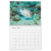Onderwaterkalender — Roatan, Honduras Kalender (Jan 2027)