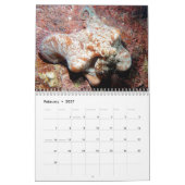 Onderwaterkalender — Roatan, Honduras Kalender (Feb 2027)
