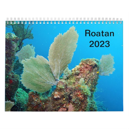 Onderwaterkalender — Roatan, Honduras Kalender (Hoes)