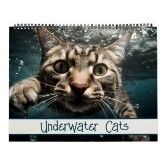 Onderwaterkatten Funny Fotografie Kalender