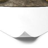 Onderwaterliefde - poster (Hoek)