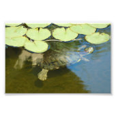 Onderwateroefening Foto Afdruk (Voorkant)