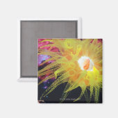 Onderwaterorganisme Magneet (Voorkant / Achterkant)