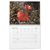 Onderwaterreis 2013 Scheepvaartkalender Kalender (Feb 2026)