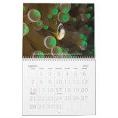 Onderwaterreizen 2008 kalender (Mar 2027)