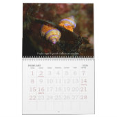 Onderwaterreizen 2008 kalender (Feb 2026)