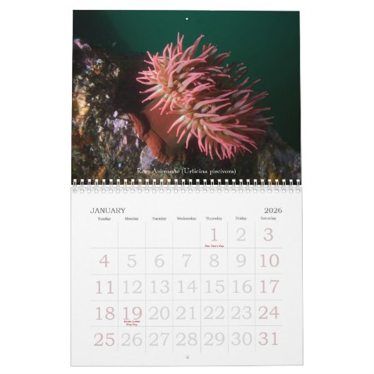 Onderwaterreizen 2008 kalender (Jan 2026)