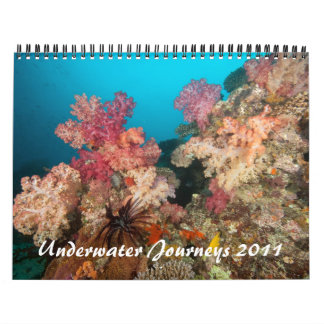 Onderwaterreizen 2011 kalender