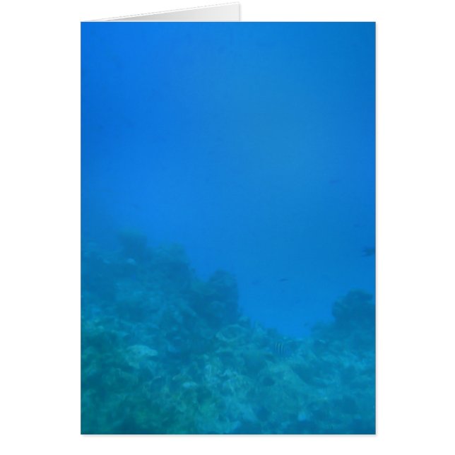 Onderwaterscène (Voorkant)