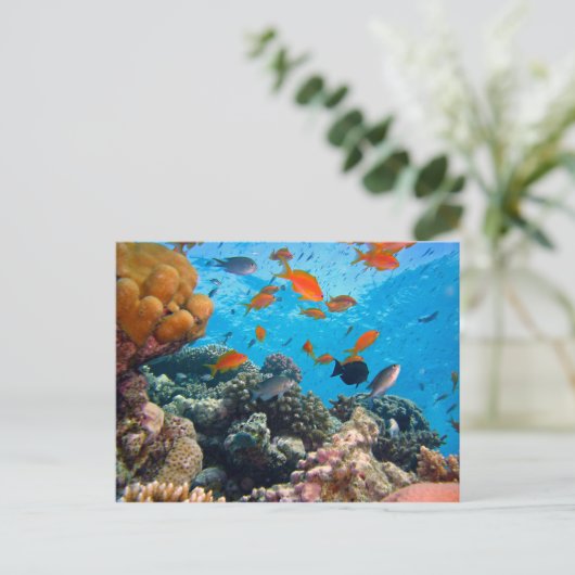 Onderwaterscène Briefkaart (Staand voorkant)