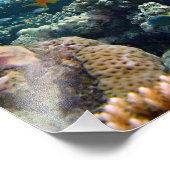 Onderwaterscène Foto Afdruk (Hoek)