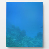 Onderwaterscène Fotoplaat (Voorkant)