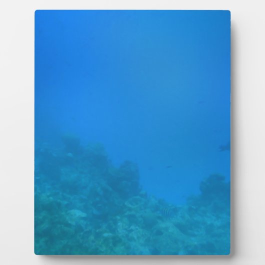 Onderwaterscène Fotoplaat (Voorkant)