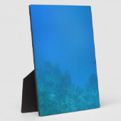 Onderwaterscène Fotoplaat (Zijkant)