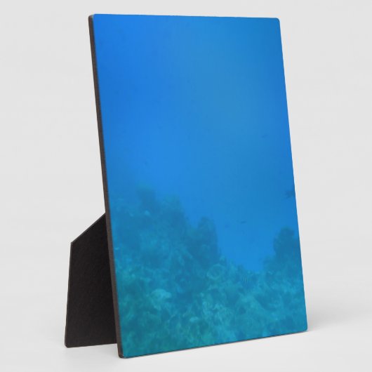 Onderwaterscène Fotoplaat (Zijkant)