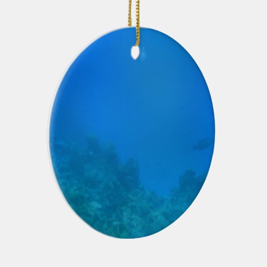 Onderwaterscène Keramisch Ornament (Rechts)