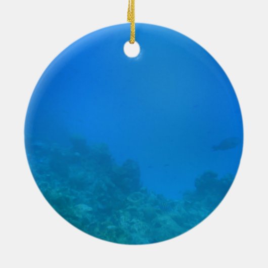 Onderwaterscène Keramisch Ornament (Achterkant)