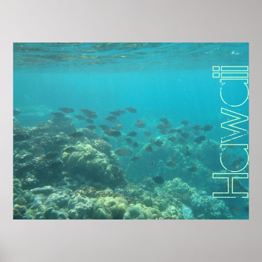 Onderwaterscène koraalrif Hawaii poster (Voorkant)