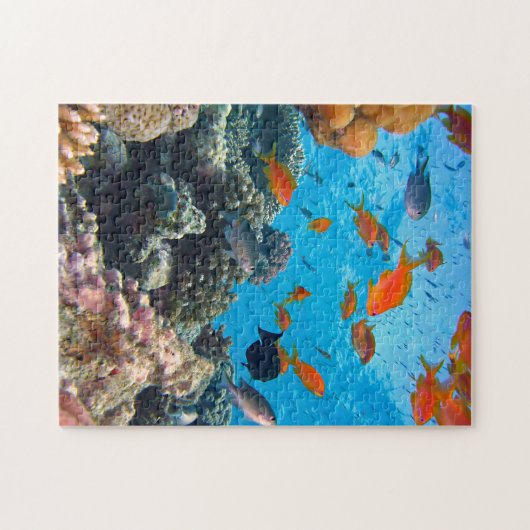 Onderwaterscène Legpuzzel (Horizontaal)