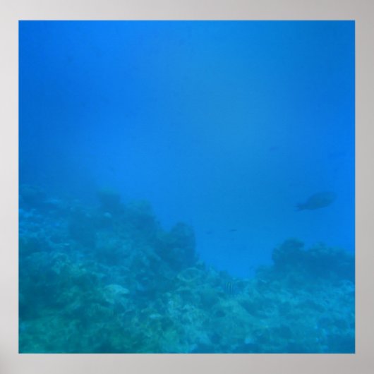 Onderwaterscène Poster (Voorkant)