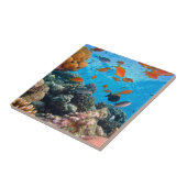 Onderwaterscène Tegeltje (Zijkant)