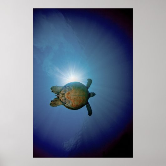 Onderwaterschildpad| Andaman Zee, Thailand Poster (Voorkant)