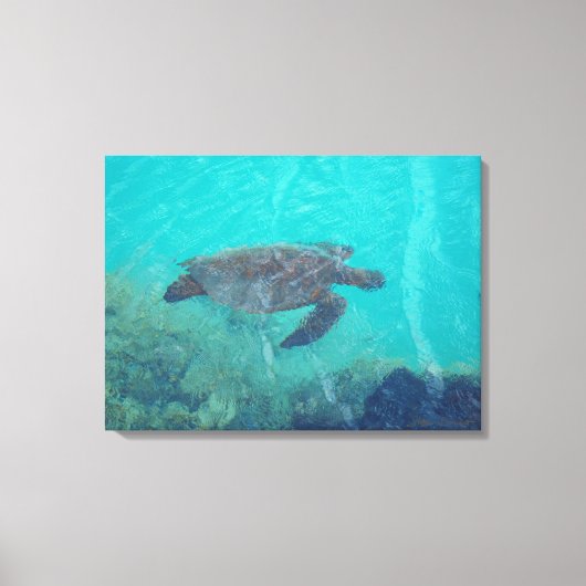 Onderwaterschildpad Kiholo Bay Hawaii canvas print (Voorkant)