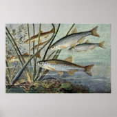 onderwaterserie eerste van vier poster (Voorkant)