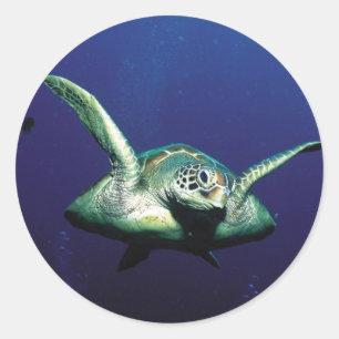 onderwatervlucht ronde sticker