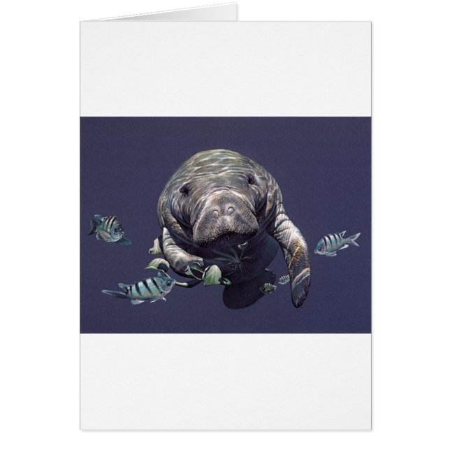 Onderwaterwereld beheren (Voorkant)