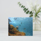 Onderwaterwereld Briefkaart (Staand voorkant)