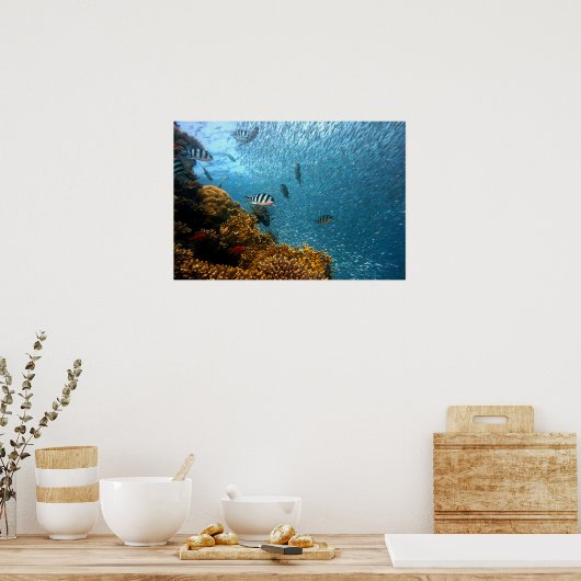 Onderwaterwereld Poster (Keuken)