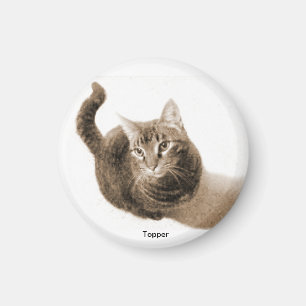 Onderwerp de Kat Magnet