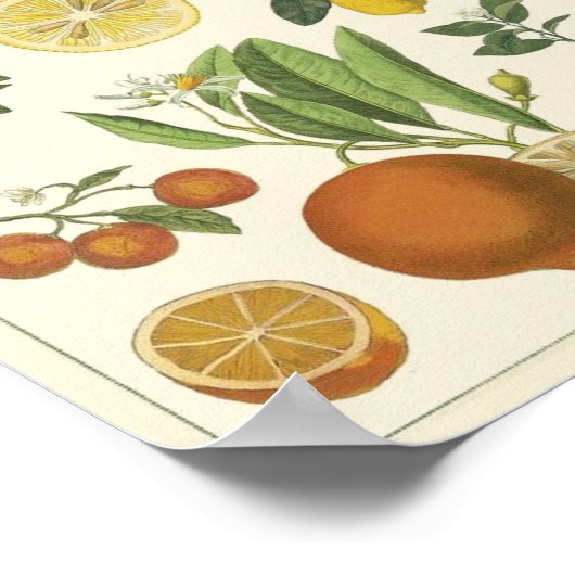  onderwijs poster (Hoek)