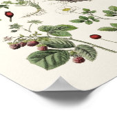  onderwijs poster (Hoek)