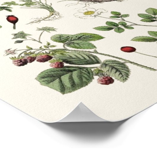  onderwijs poster (Hoek)