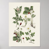  onderwijs poster (Voorkant)